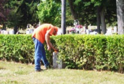 Man tending to tombstone