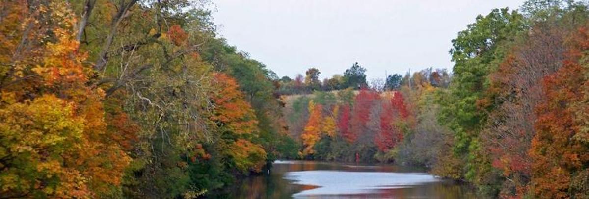 Colorful Fall trees along the canal