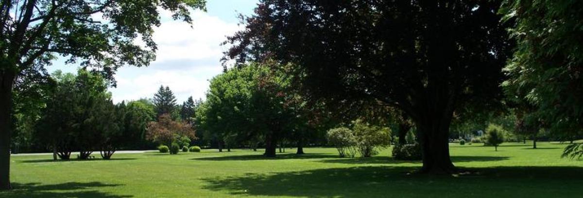 Open green space surrounded by trees